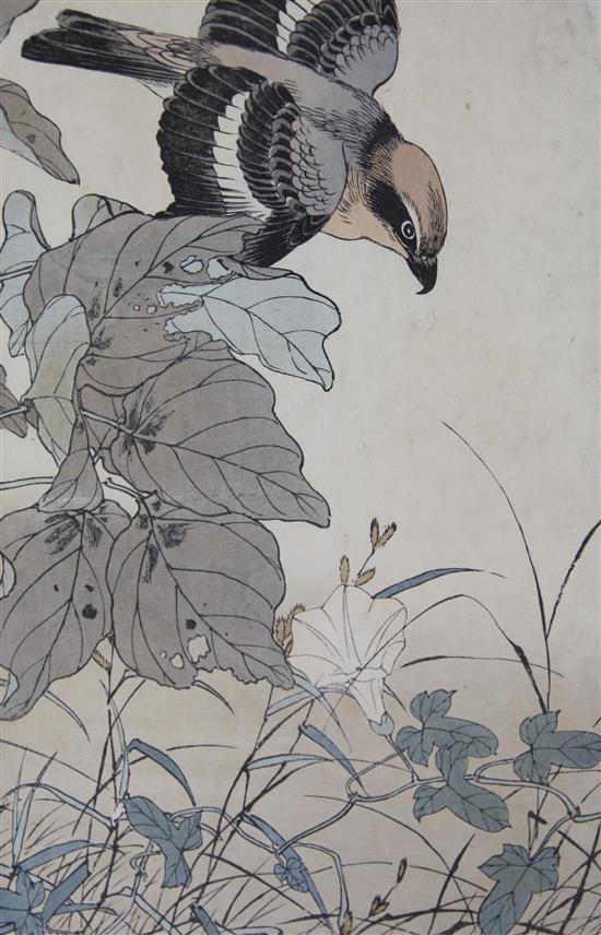 Kawarazaki Shodo (1889-1973) four ukiyo-e prints of flowers, all mounted, varying condition (7)